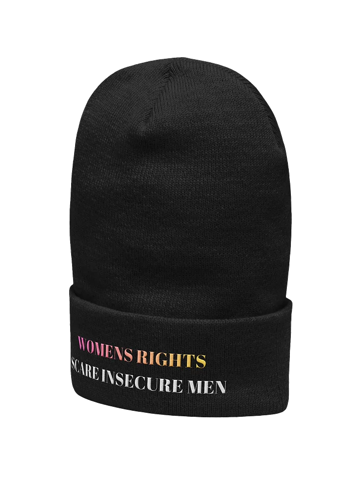 WOMENS RIGHTS SCARE INSECURE MEN BEANIE product image (2)