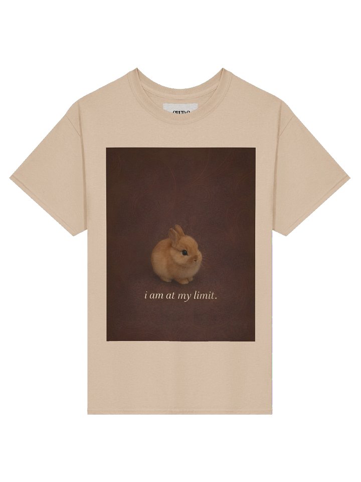 i am at my limit product image (1)