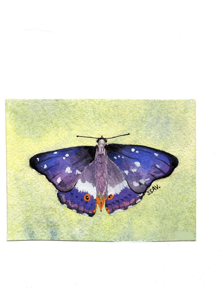 purple butterfly 4x5.3 print ssav. product image (1)