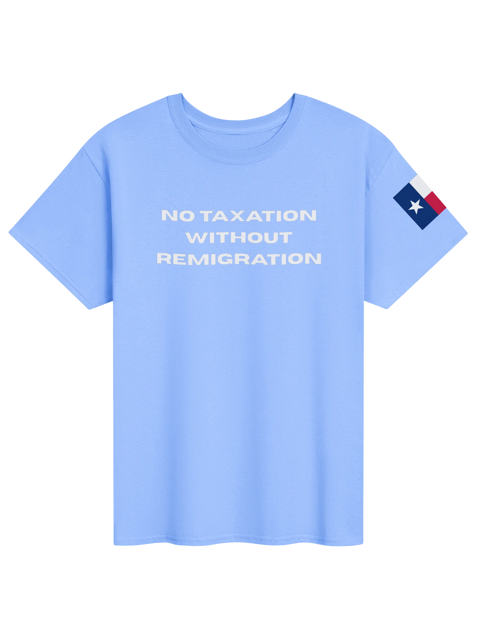 Remigration Tee product image (51)