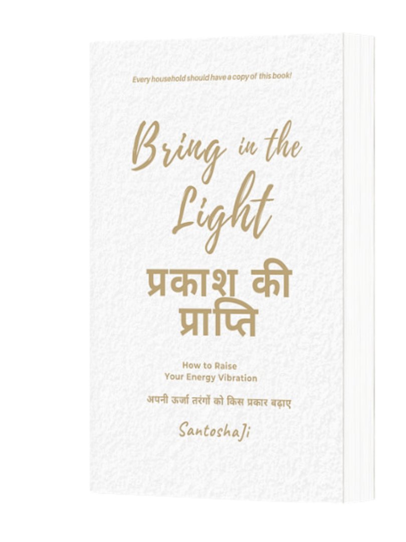 Bring in the Light Hindi product image (1)