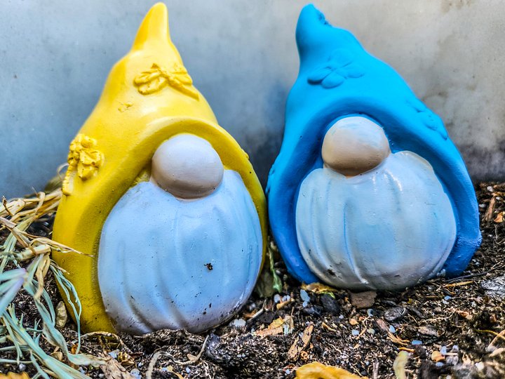 Gnomeo and Romeo. product image (2)