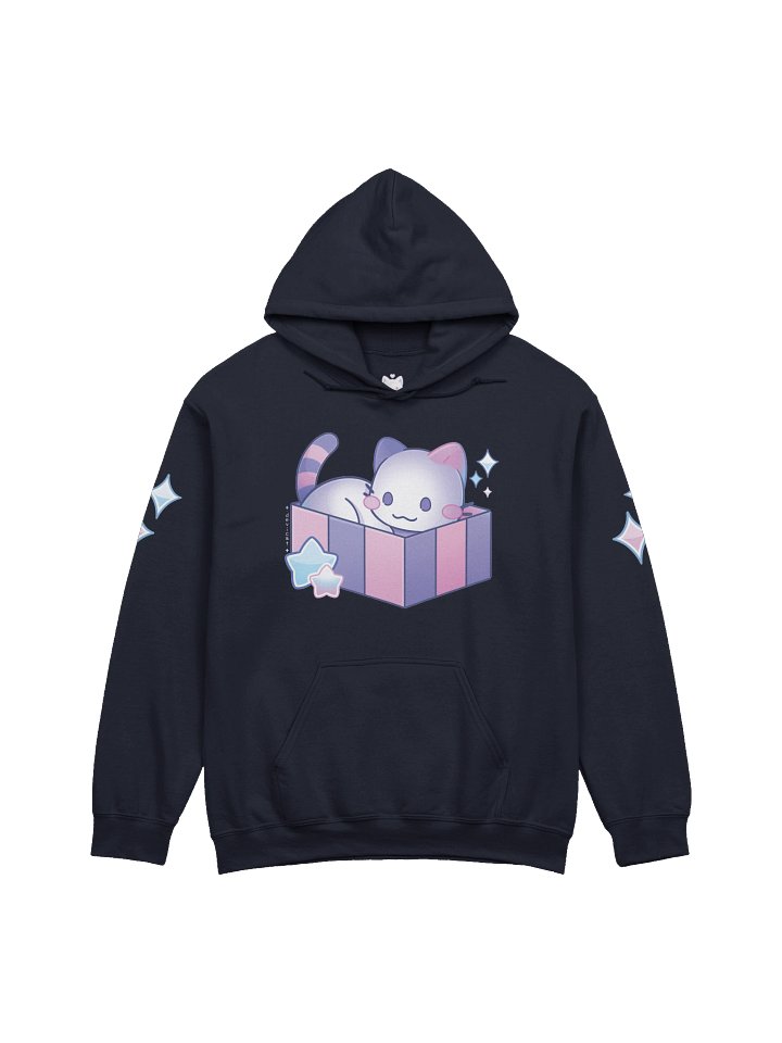 CandiCat Cat In A Box 2026 Hoodie product image (2)