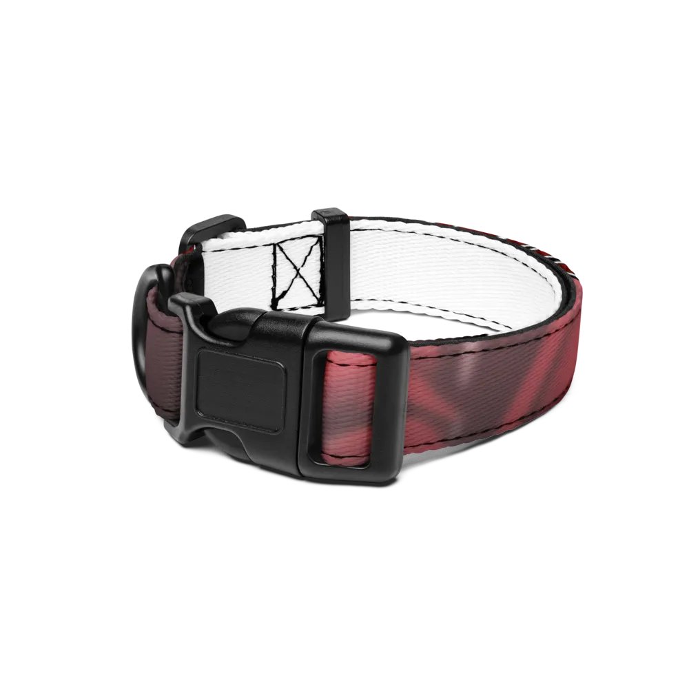 animal collar product image (1)