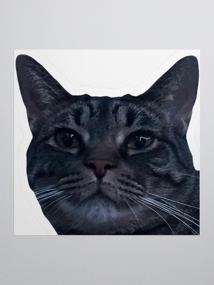 Chewie Sticker product image (1)