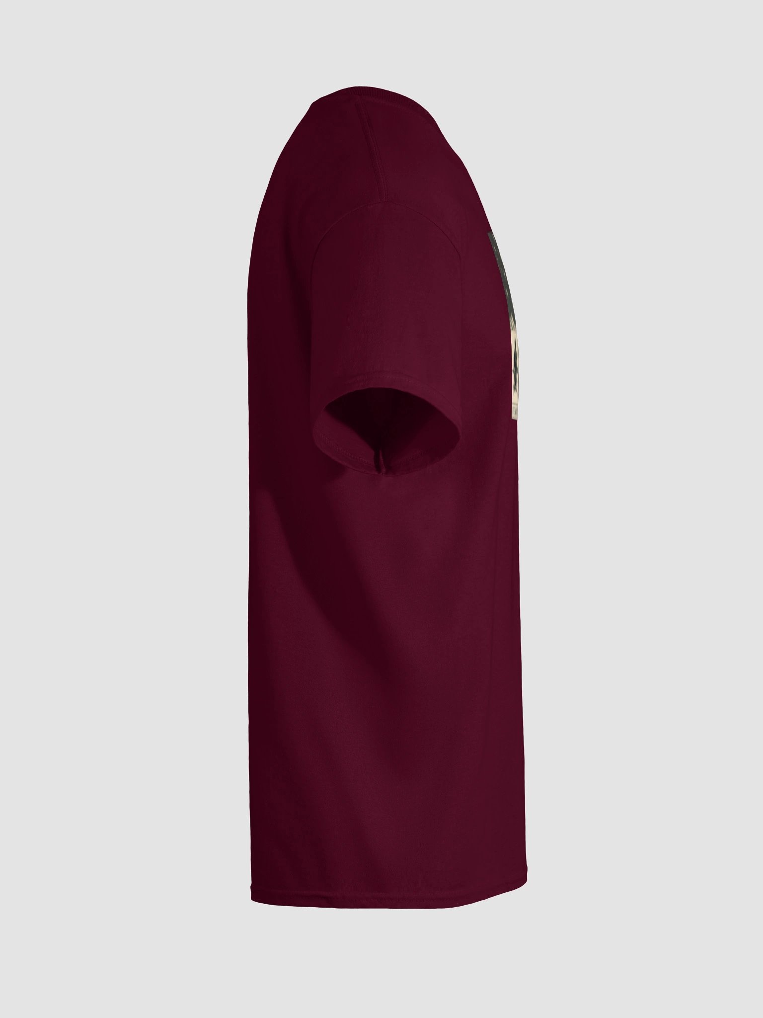 Snowcast product image (110)