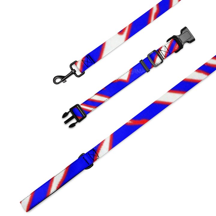 BUFFALO BILLS TABLE CRUSHER Pet Collar & Leash Set product image (1)