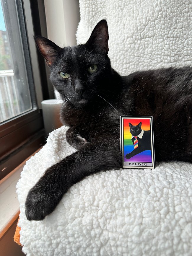 Pride Cats & Ally Cats