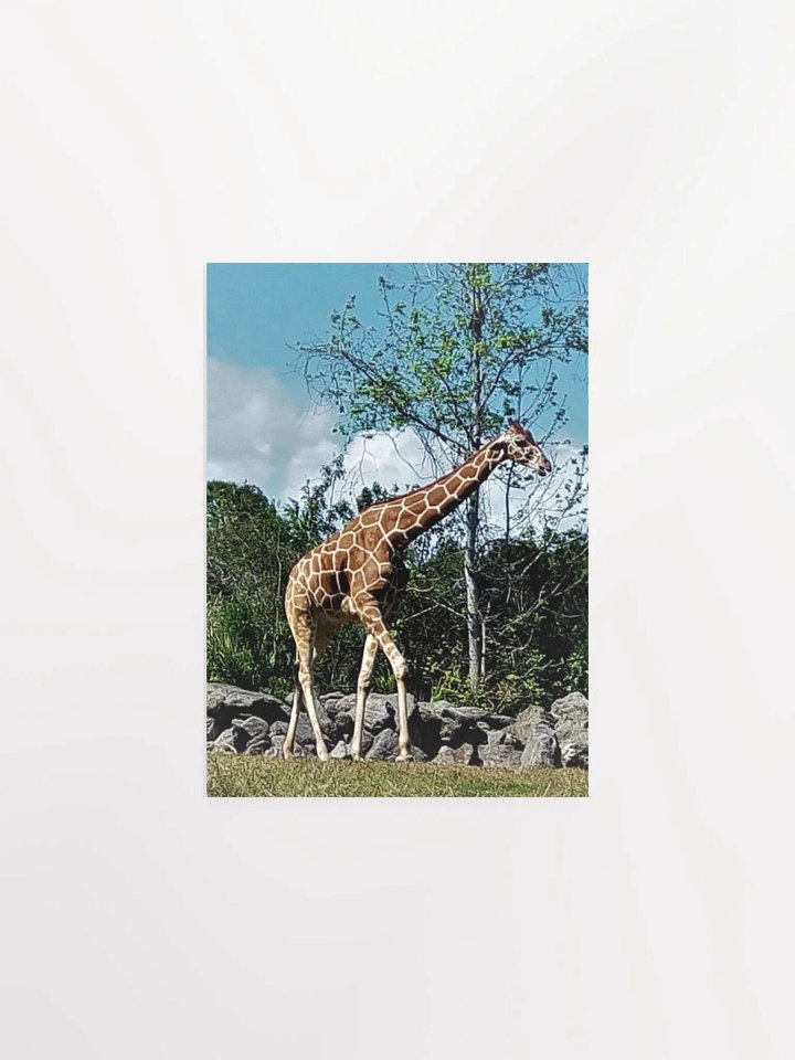 Giraffe product image (9)