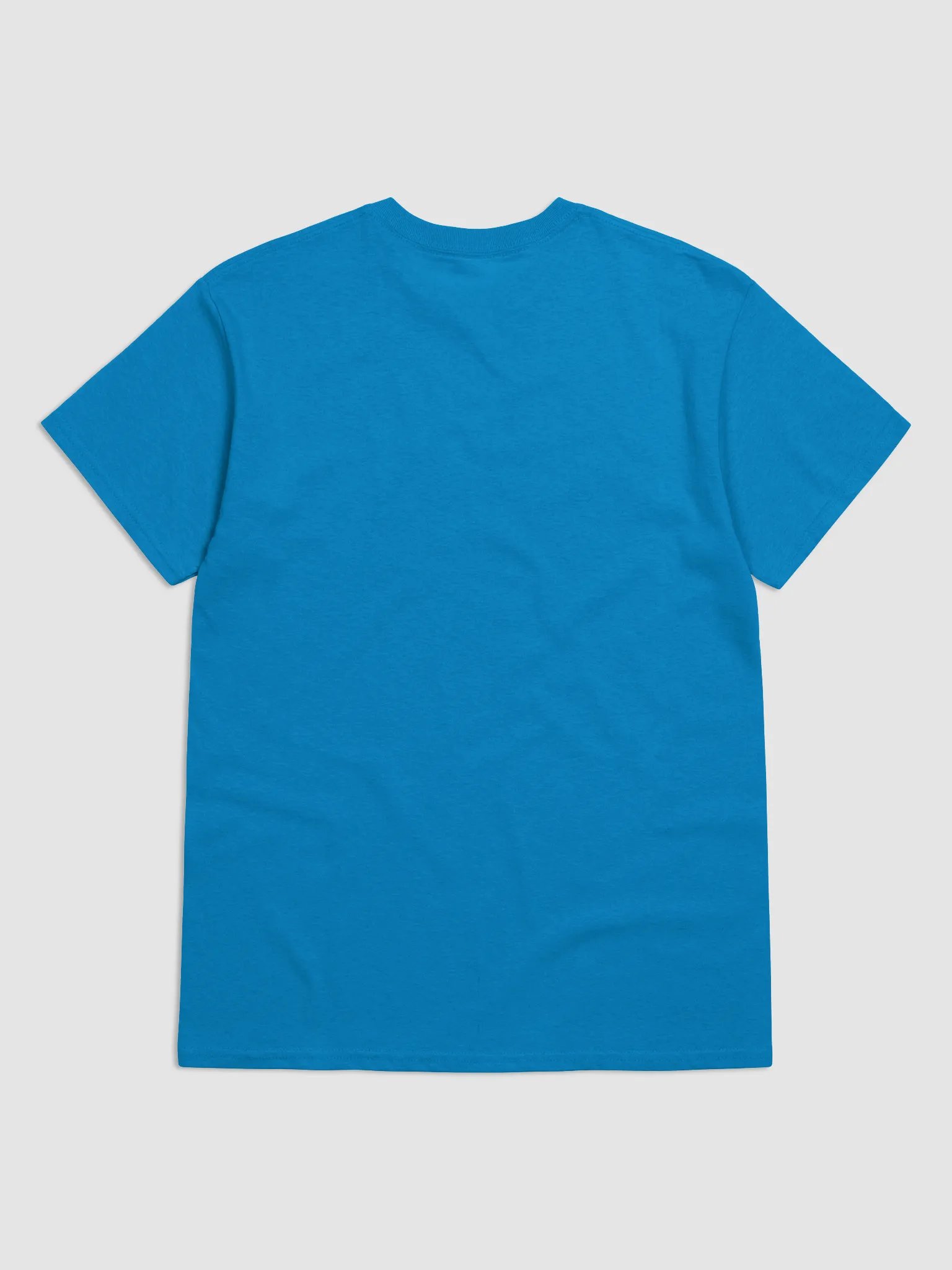 Flagship Tee product image (15)