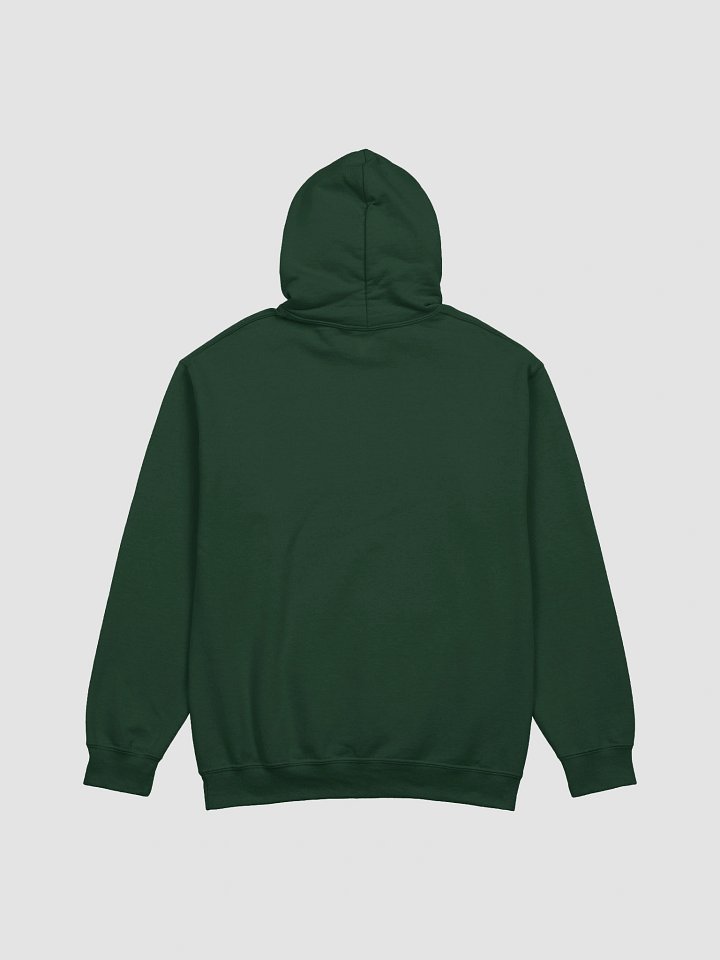 B.Dolan X-Ray Scream Hoodie product image (14)