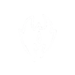 nickedstore