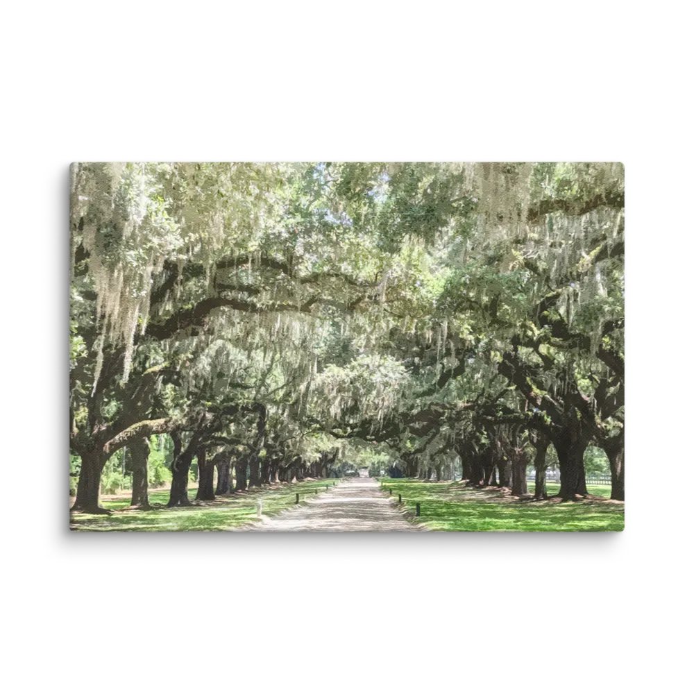 Avenue of the Oaks, Boone Hall Plantation Watercolor Canvas Print product image (1)