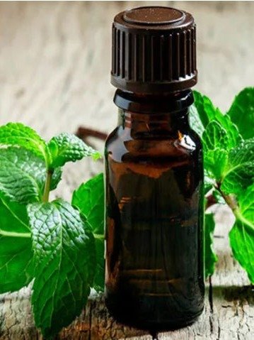 زيت النعناع العطري product image (3)