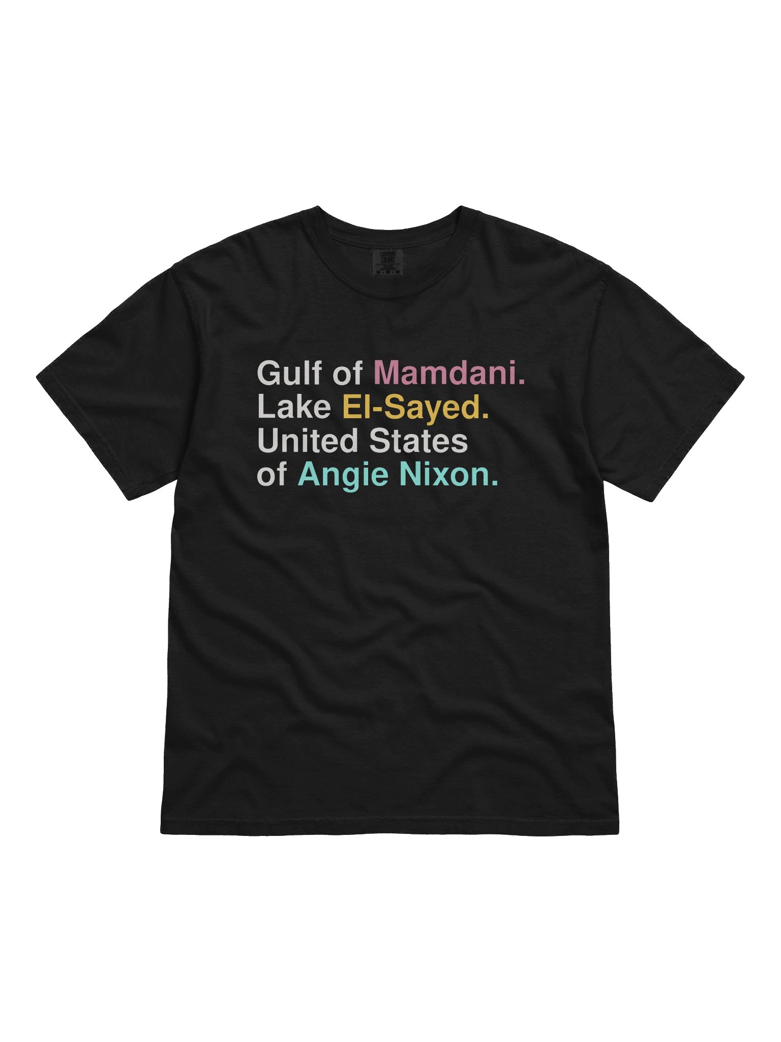 Gulf of Mamdani, Lake El-Sayed & Angie Nixon T-Shirt | Comfort Colors 1717 Pepper product image (1)