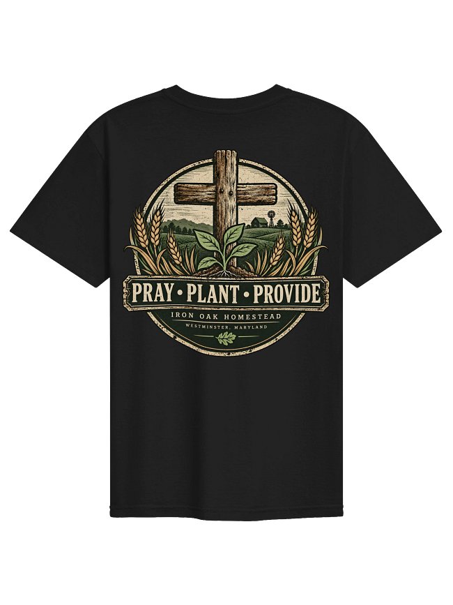 Rooted in Faith