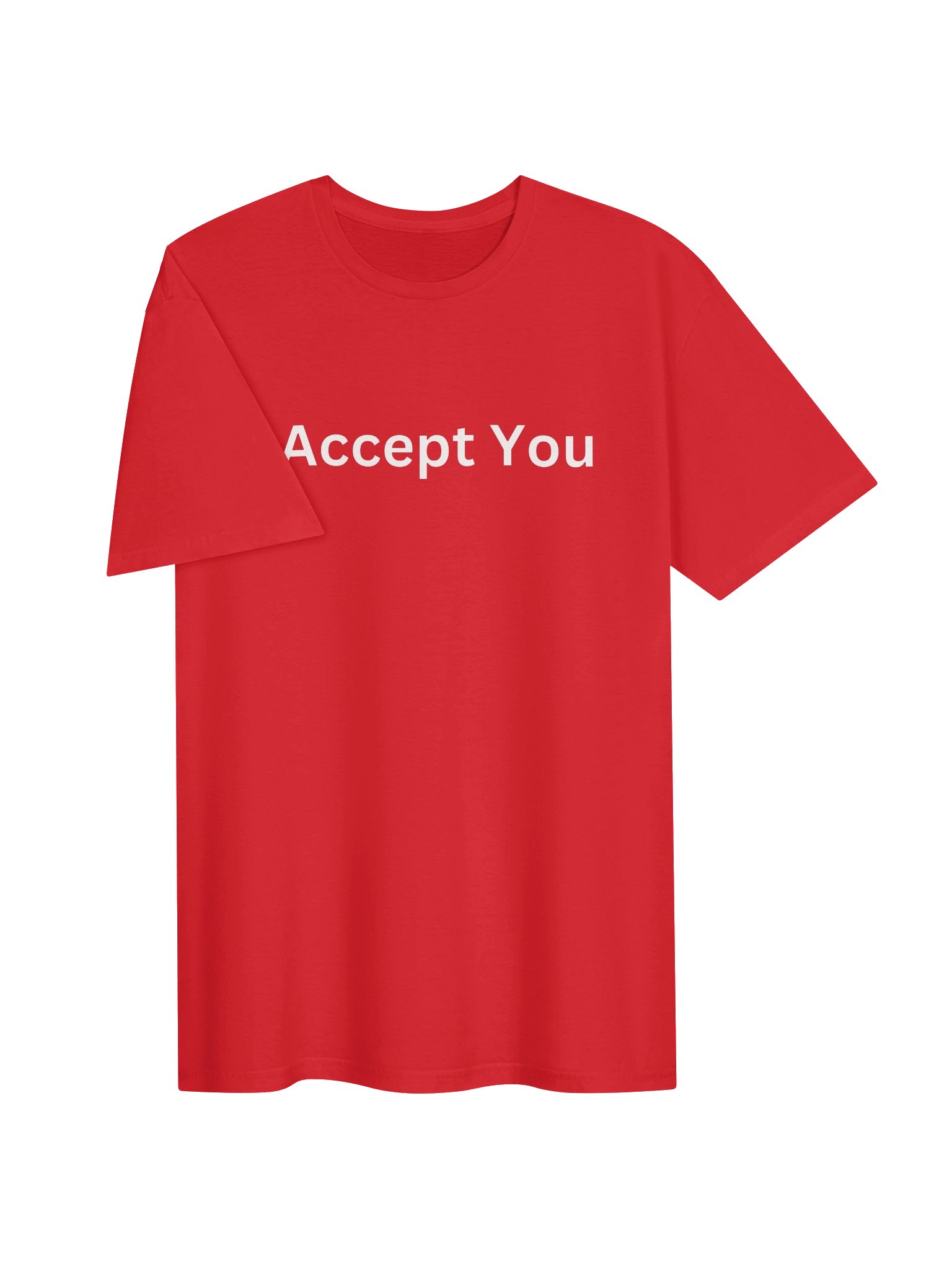 I Accept You T-Shirt product image (11)