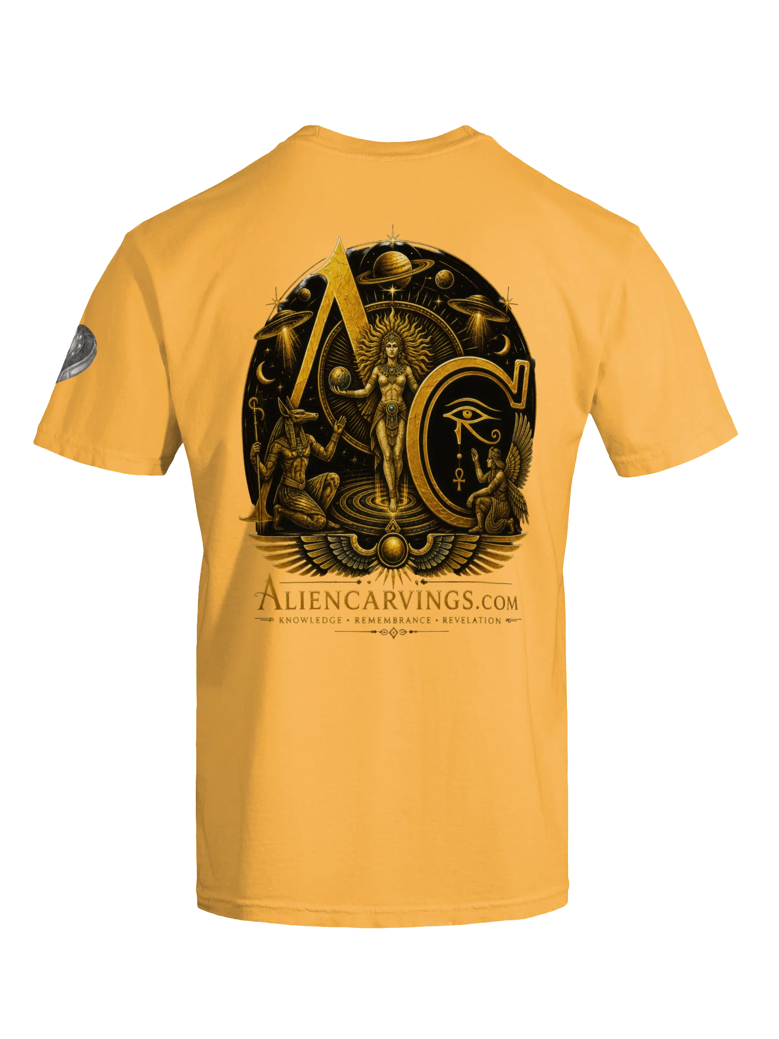 Project Disclosure Premium T-Shirt product image (7)