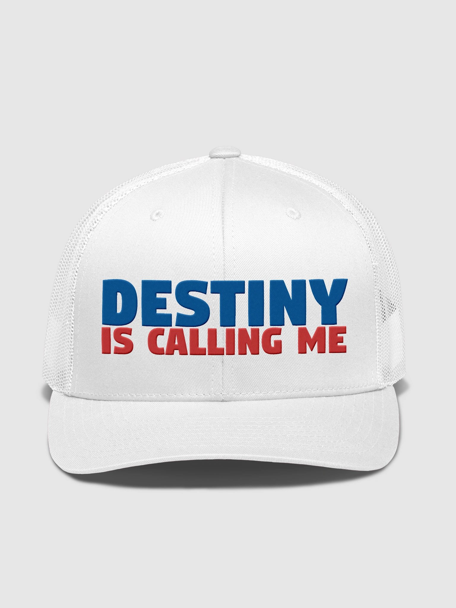 DESTINY IS CALLING ME Classic Trucker Hat product image (1)