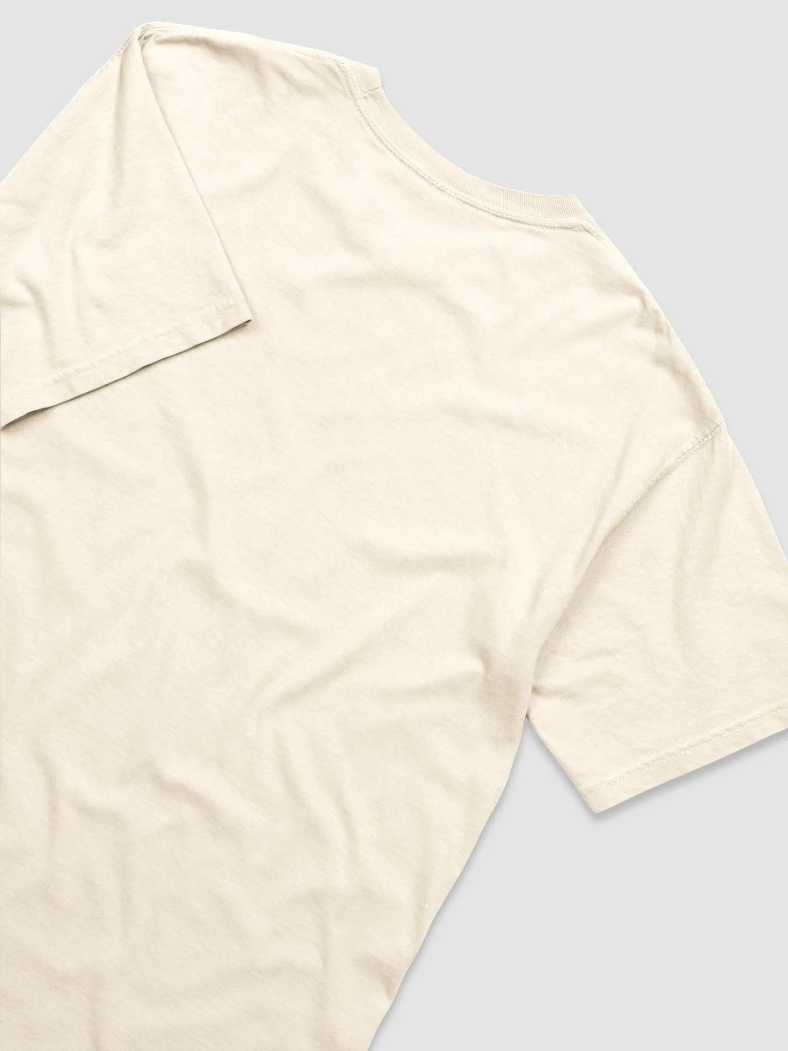 Heavyweight T-Shirt (2H) product image (4)