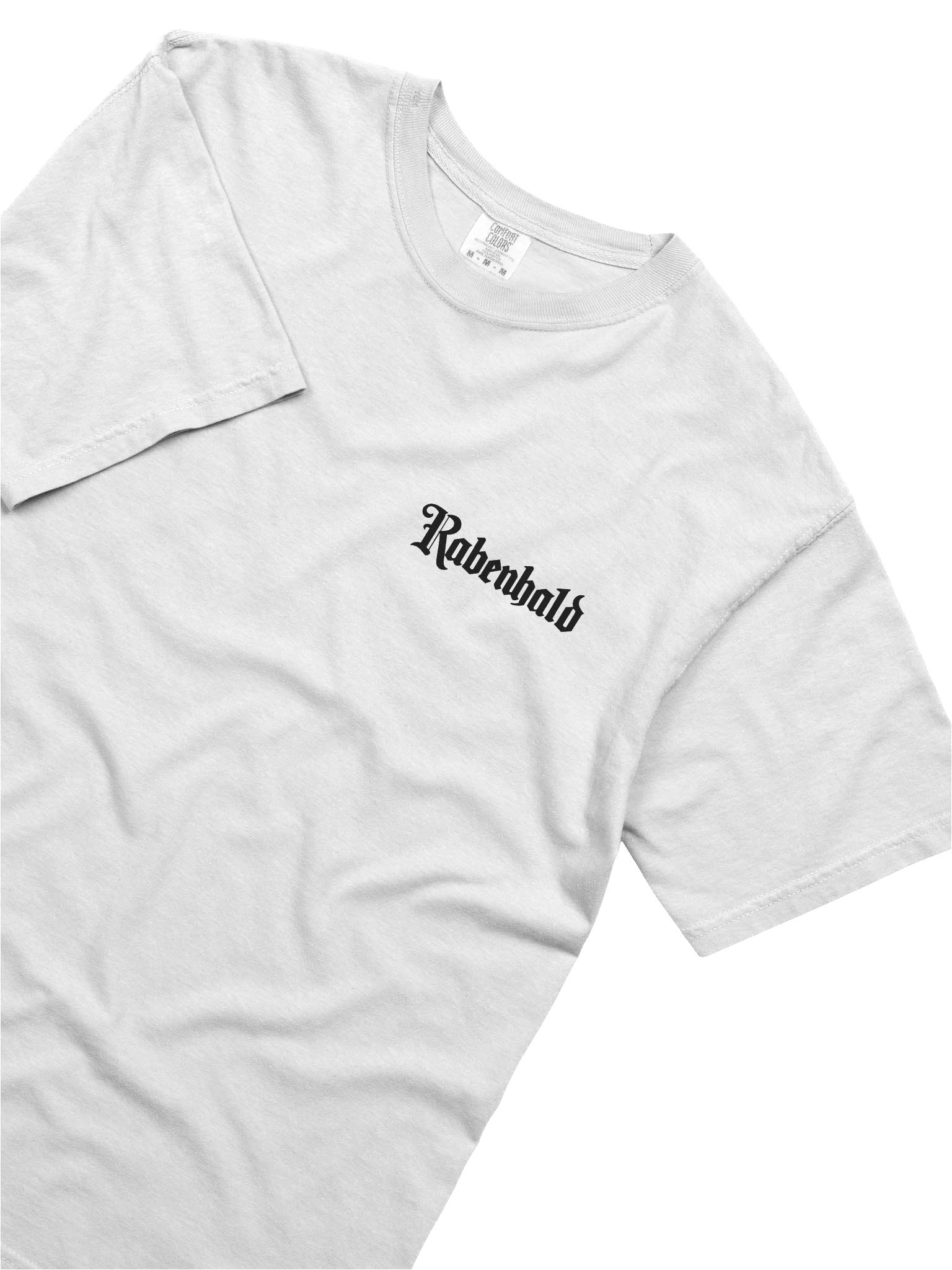 Small logo t-shirt (light) product image (5)