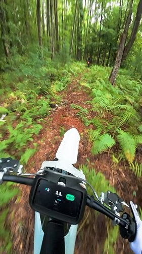 Woods riding on the stark is too much fun