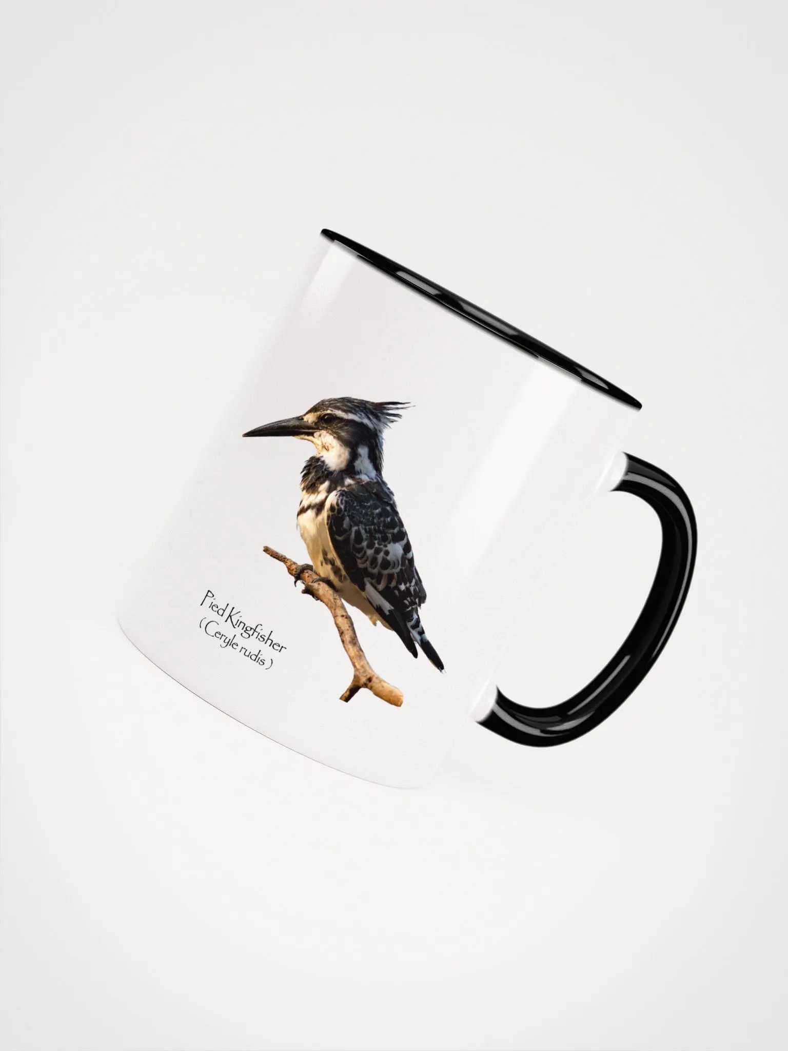 Pied Kingfisher mug product image (34)