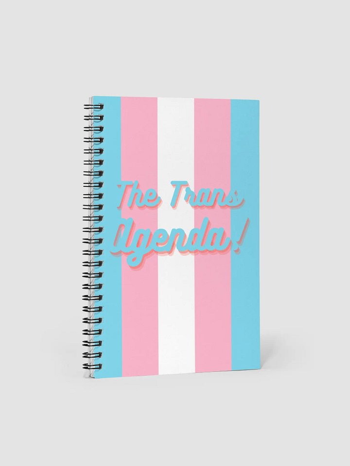 The Trans Agenda product image (1)