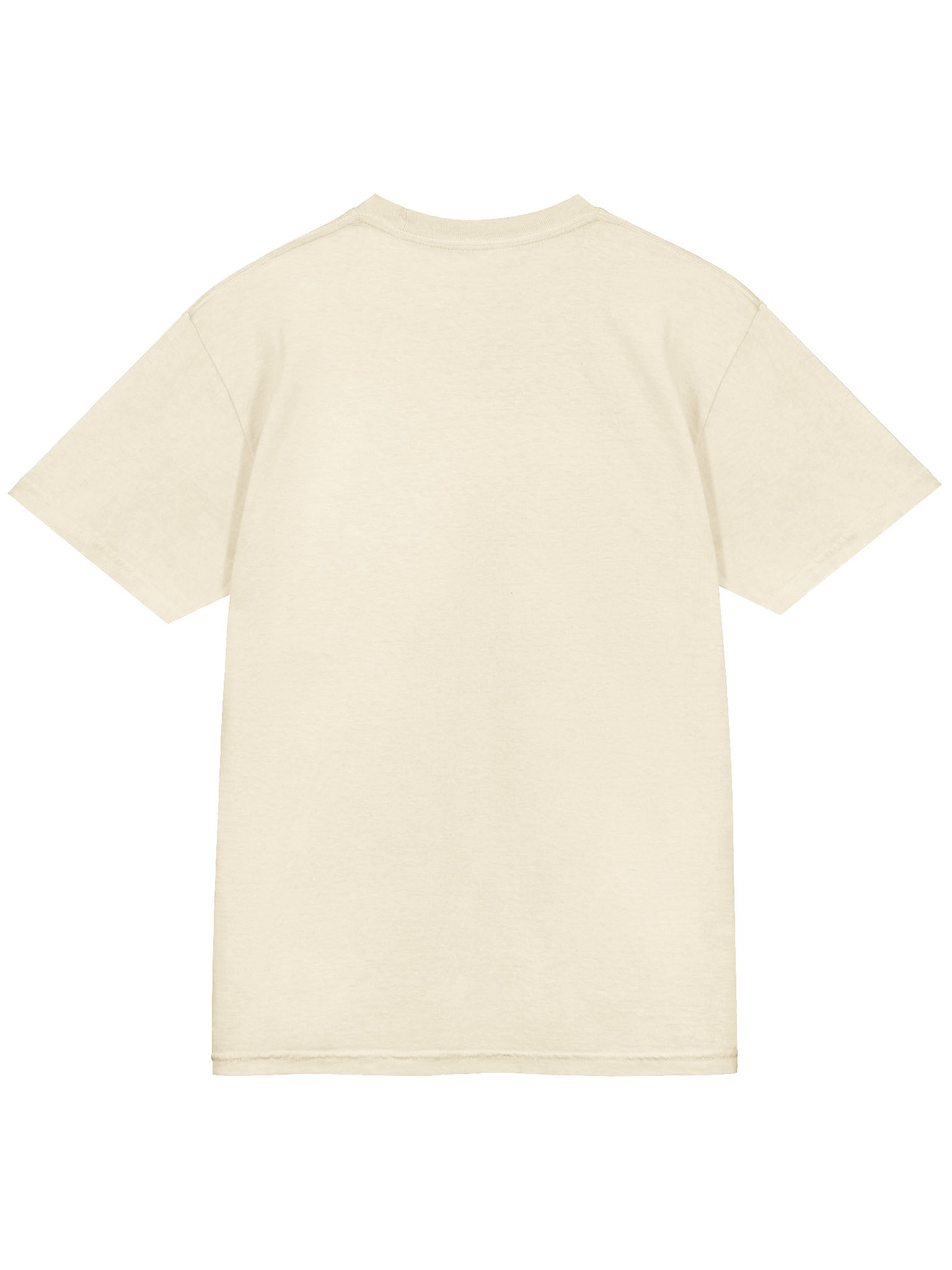 LSD Book Tee (Comfort Colors) product image (4)