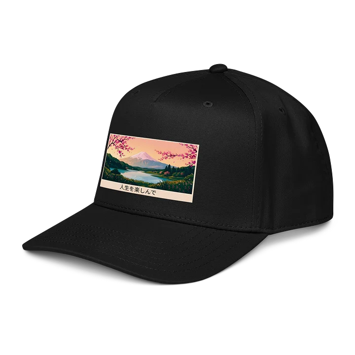 𝓝𝓲𝓰𝓱𝓽𝓓𝓻𝓮𝓪𝓶 ✕ Fuji 富士山 "Living Color" B-Ball cap - Standard product image (1)