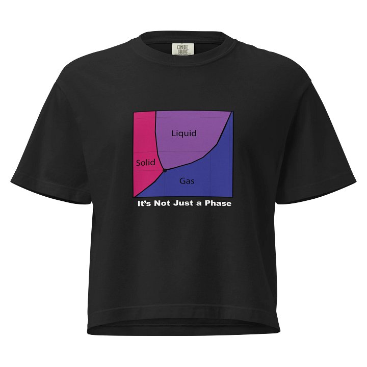 It's Not Just a Phase- Bi Shirt product image (1)