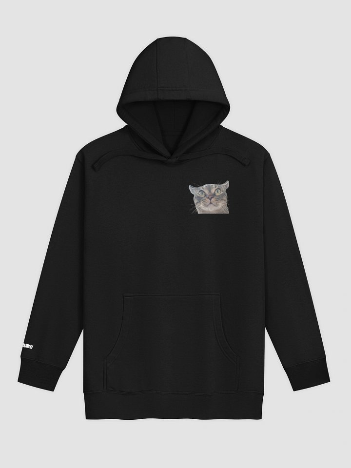 Luke Pullover Hoodie product image (1)