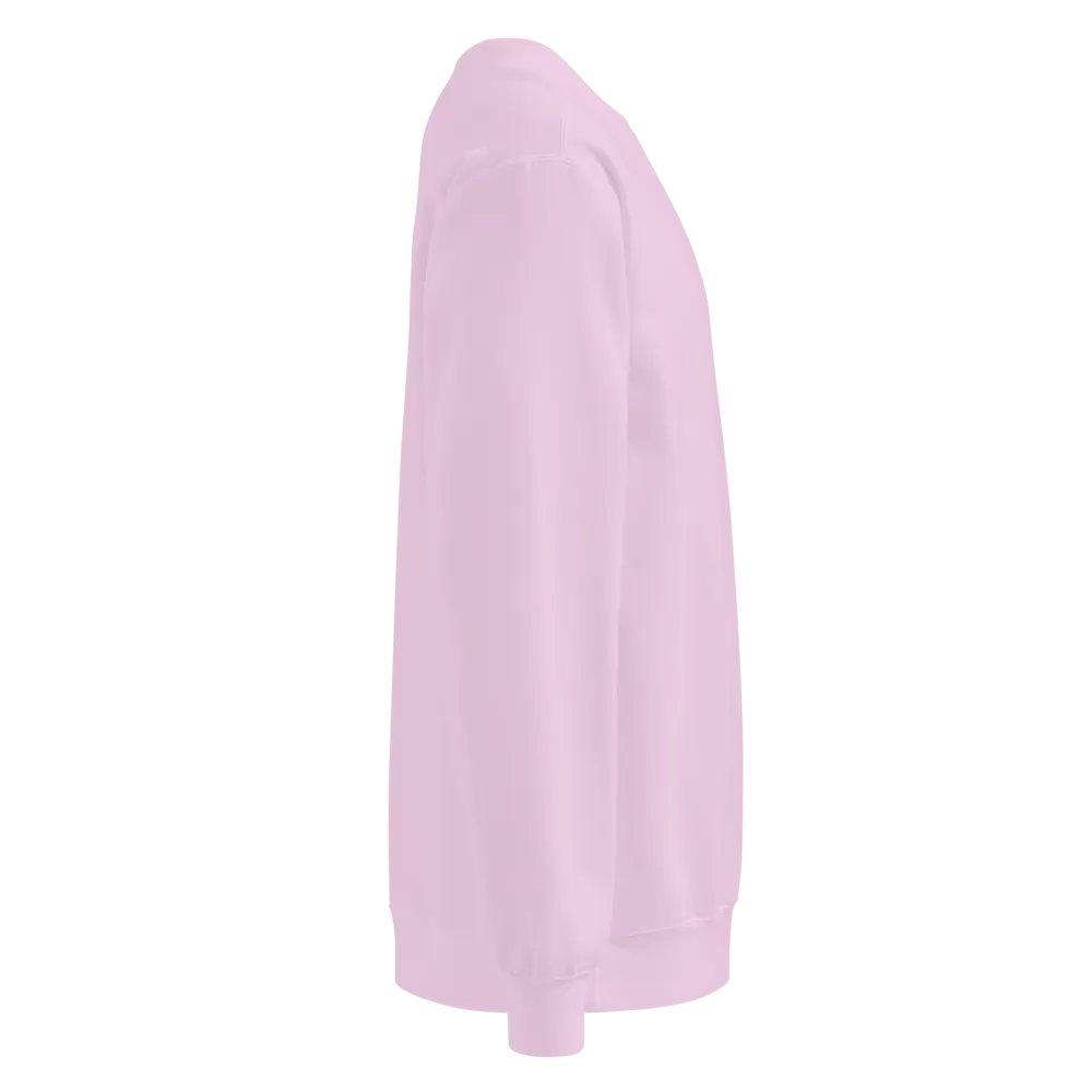 CS SweatShirt product image (32)