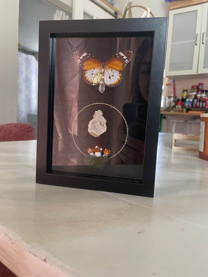 Enchanted Tiger Shadowbox product image (1)