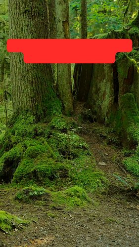 15% Off all Hoodies until the end of the year! 

#stcroixnaturecompany 
#wearthewilderness 
#explore 
#hike 
#national parks