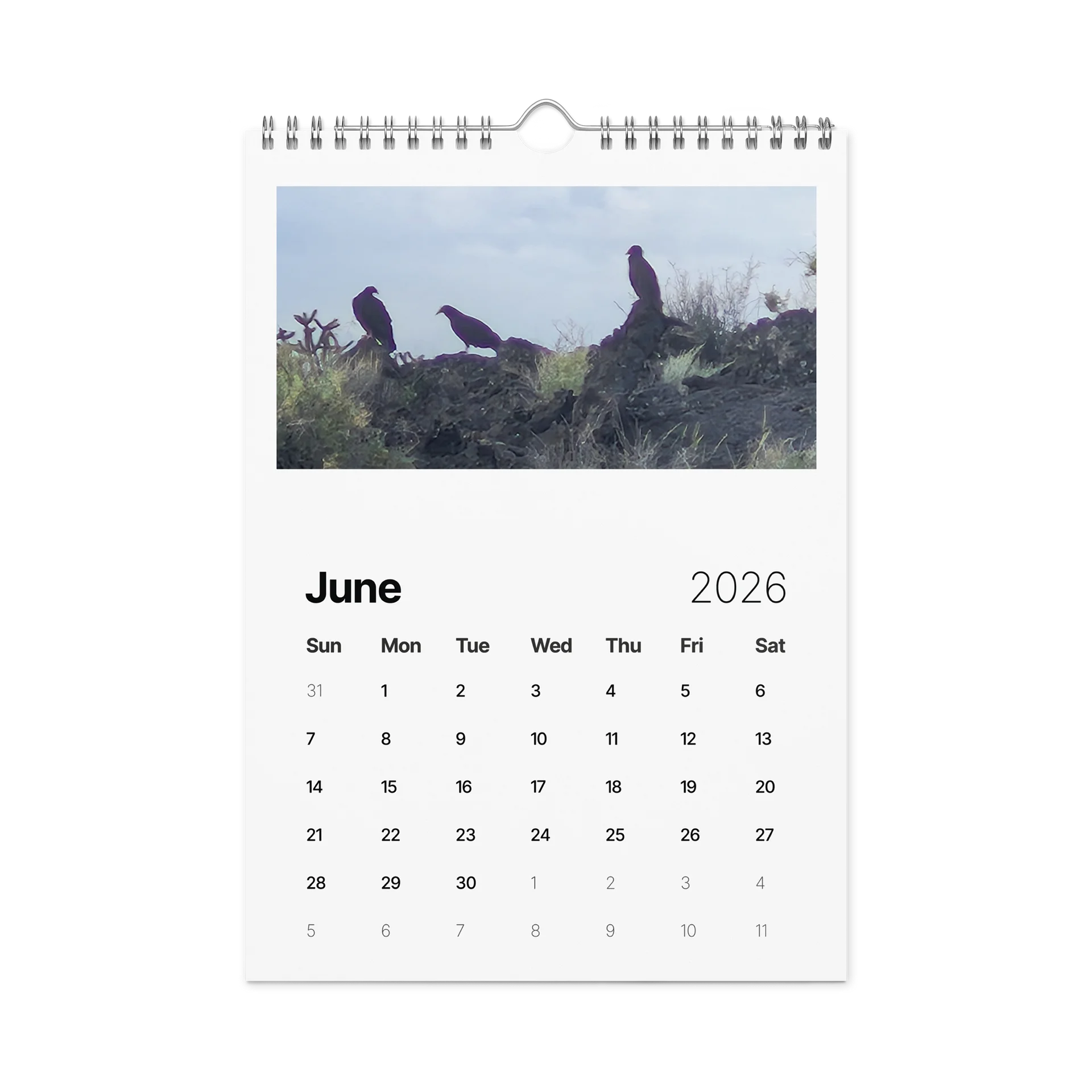 Valley of Fires Wall calendar product image (8)