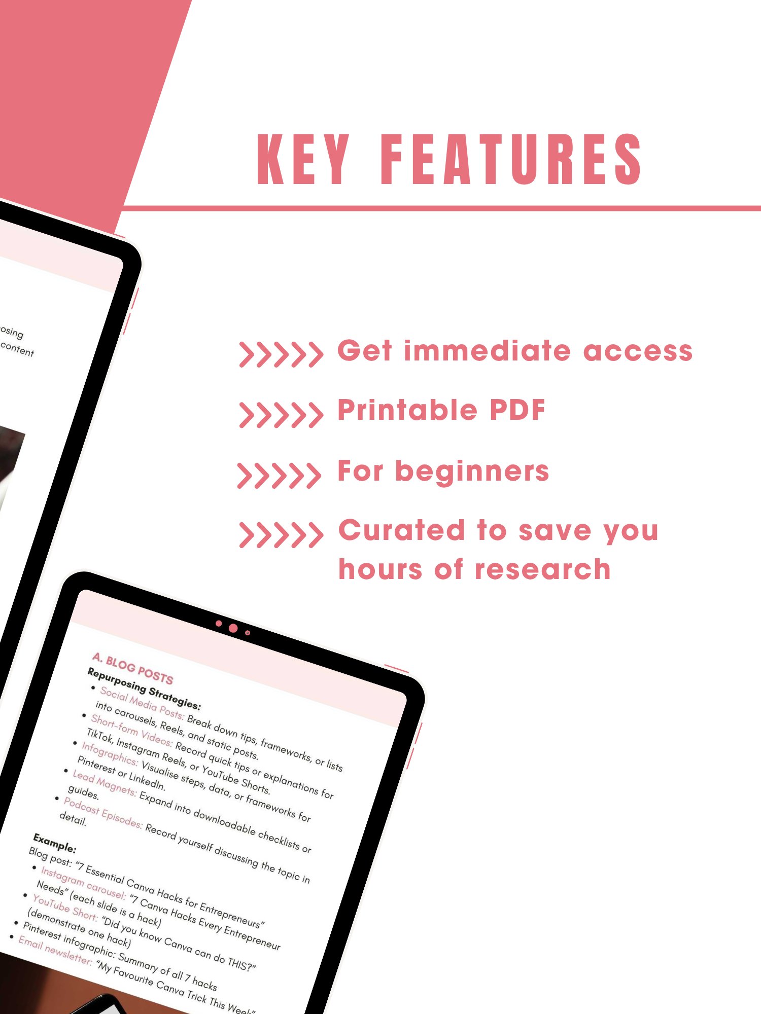 Content Repurposing Guide product image (2)