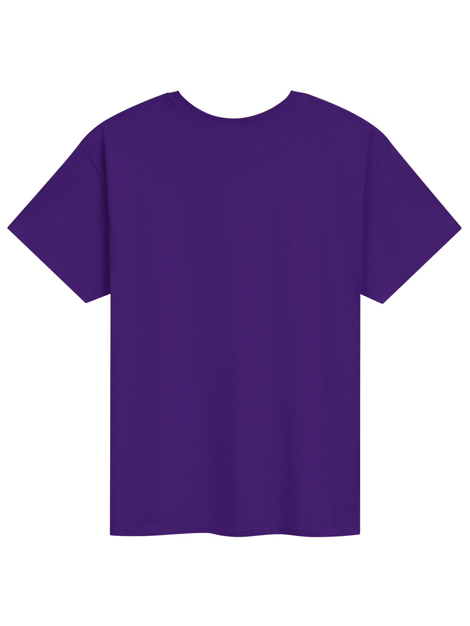 Barstoolbear T-Shirt product image (2)