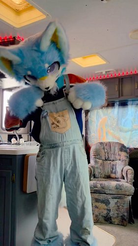 Dang.. yall almost got that for free 🤣

#furry #furryfandom #furrycommunity #furrytiktok #funnyvideos