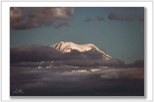 Mt. Rainier floating above the clouds like it owns the sky. That summit breaking through the cloud layer into blue is somethi...