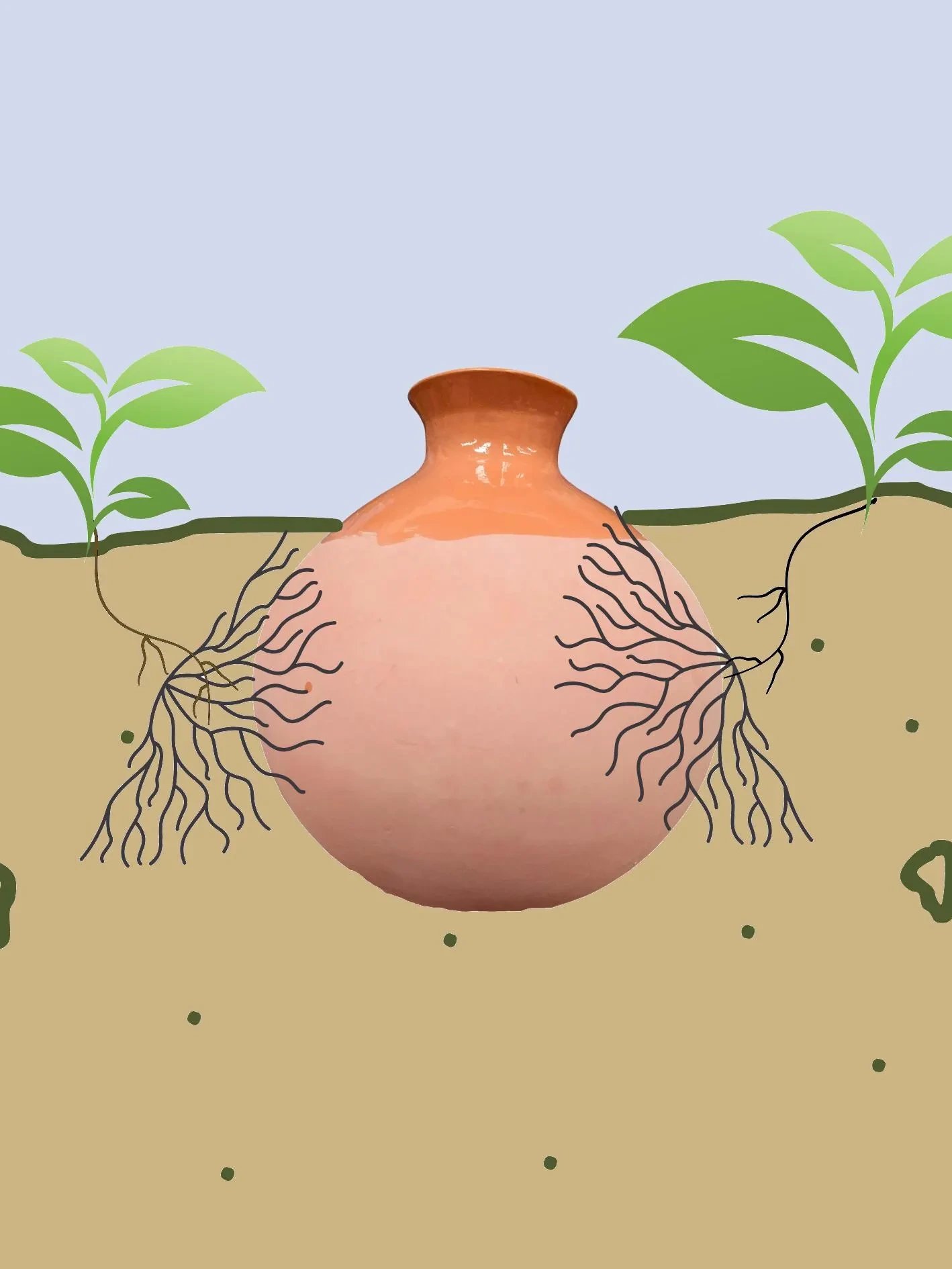 Terracotta Plant Olla Watering System Round Top product image (7)