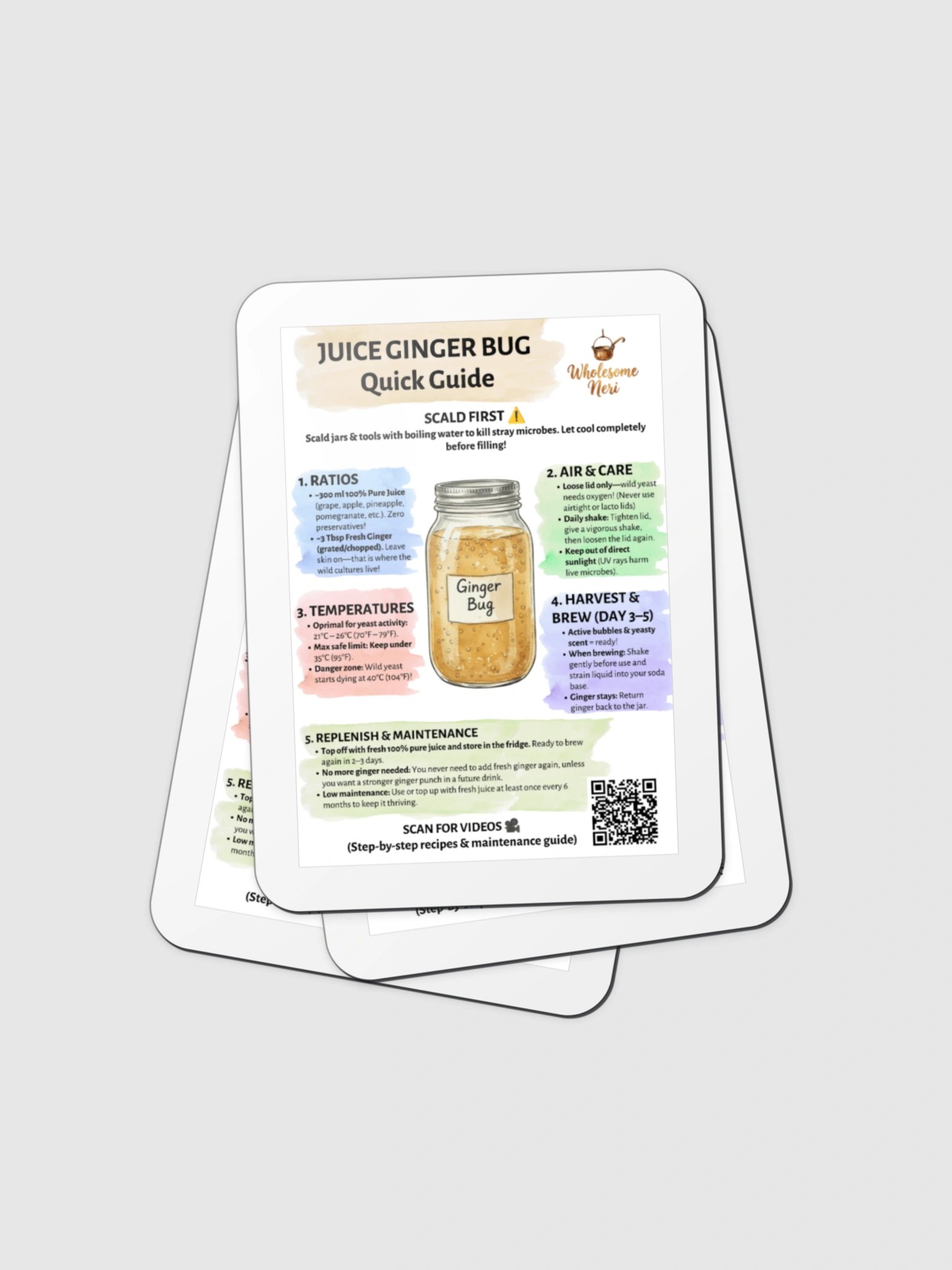 Juice Ginger Bug Quick Guide Die-Cut Magnet product image (4)
