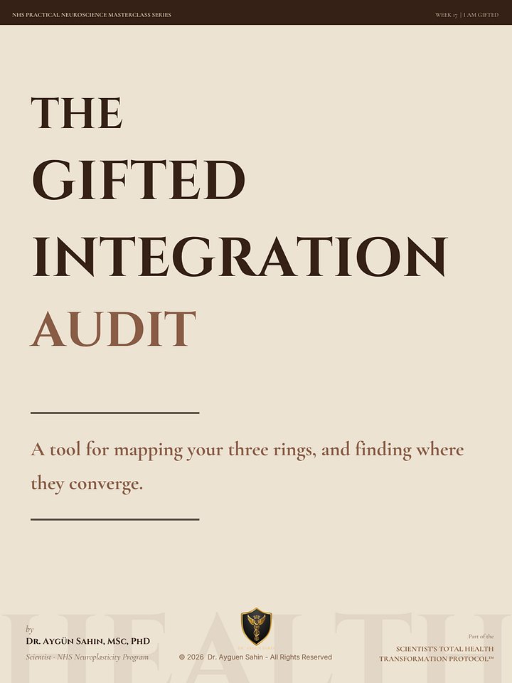 GIFT INTEGRATION AUDIT product image (1)
