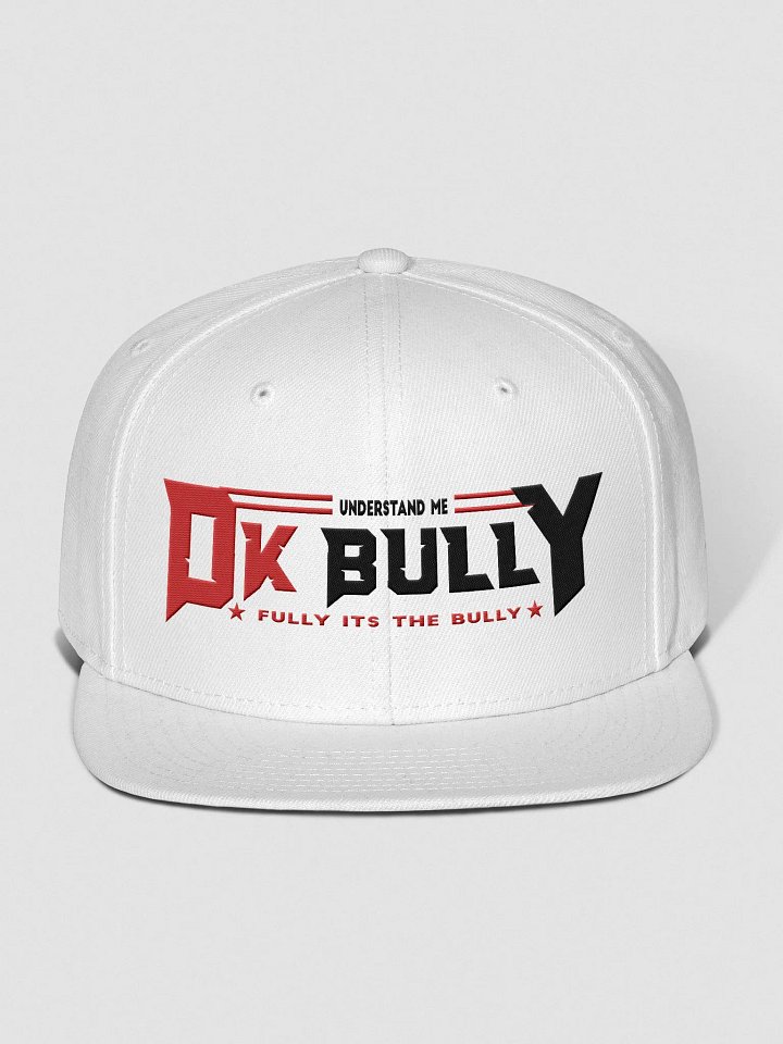 UNDERSTAND FULLY (hat) LD WHITE product image (1)
