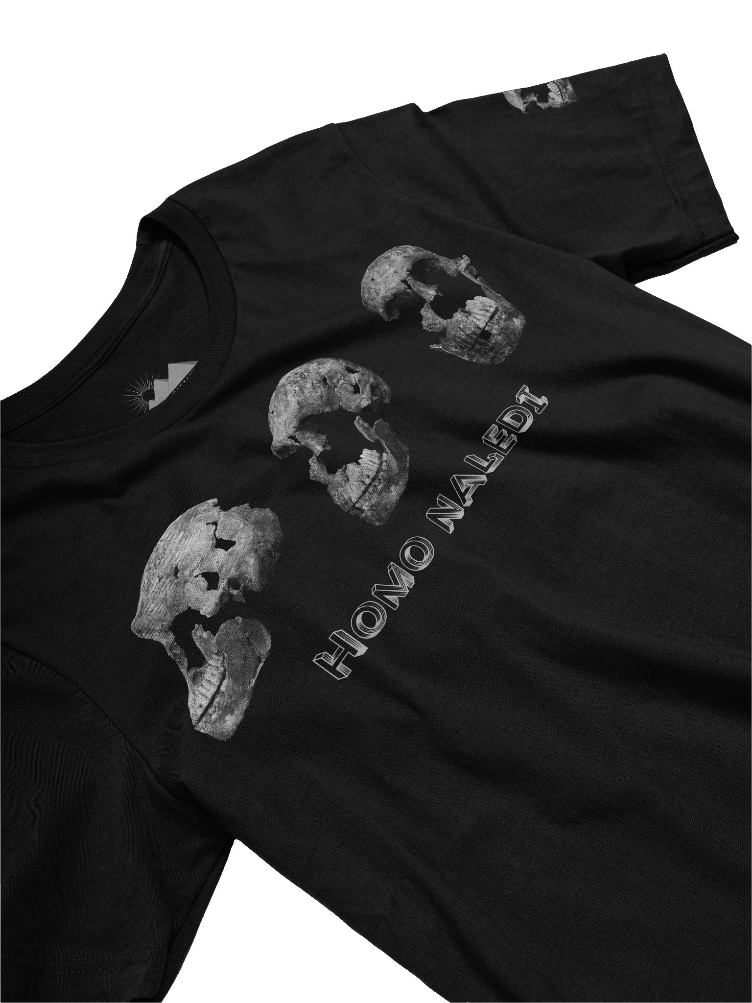 Naledi Fossil Skull T-Shirt Dark product image (11)