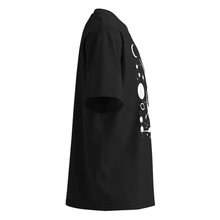 Stanley/Stella Unisex Organic Oversized T-Shirt (Vegan) product image (2)