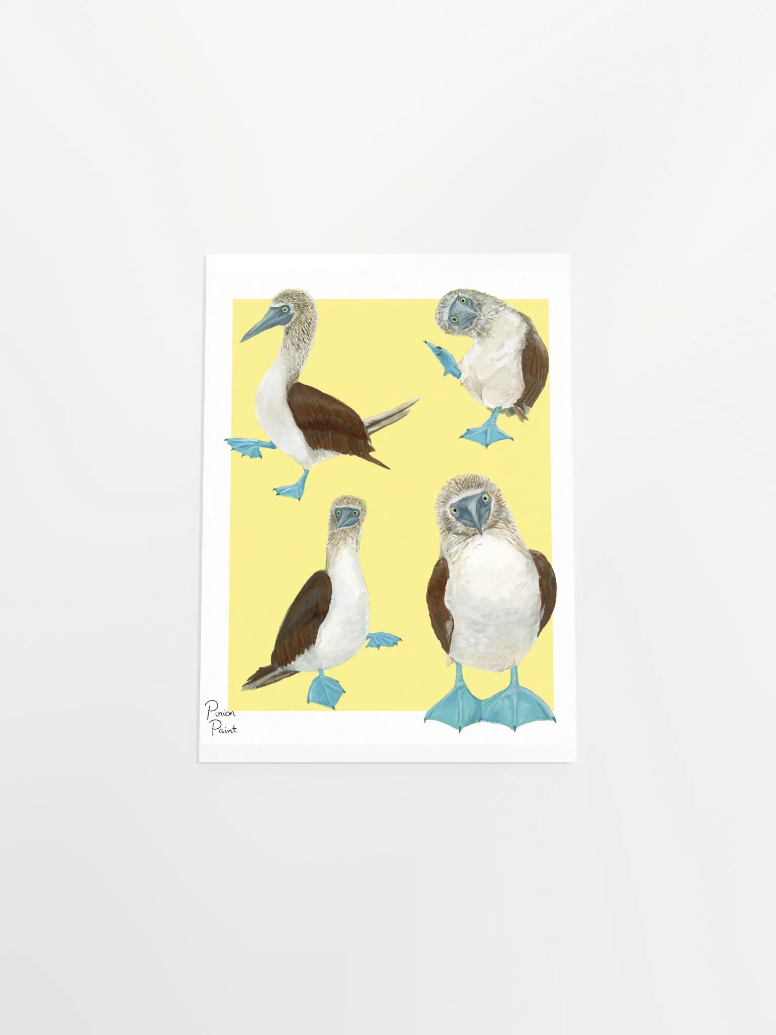 Boobies print product image (4)