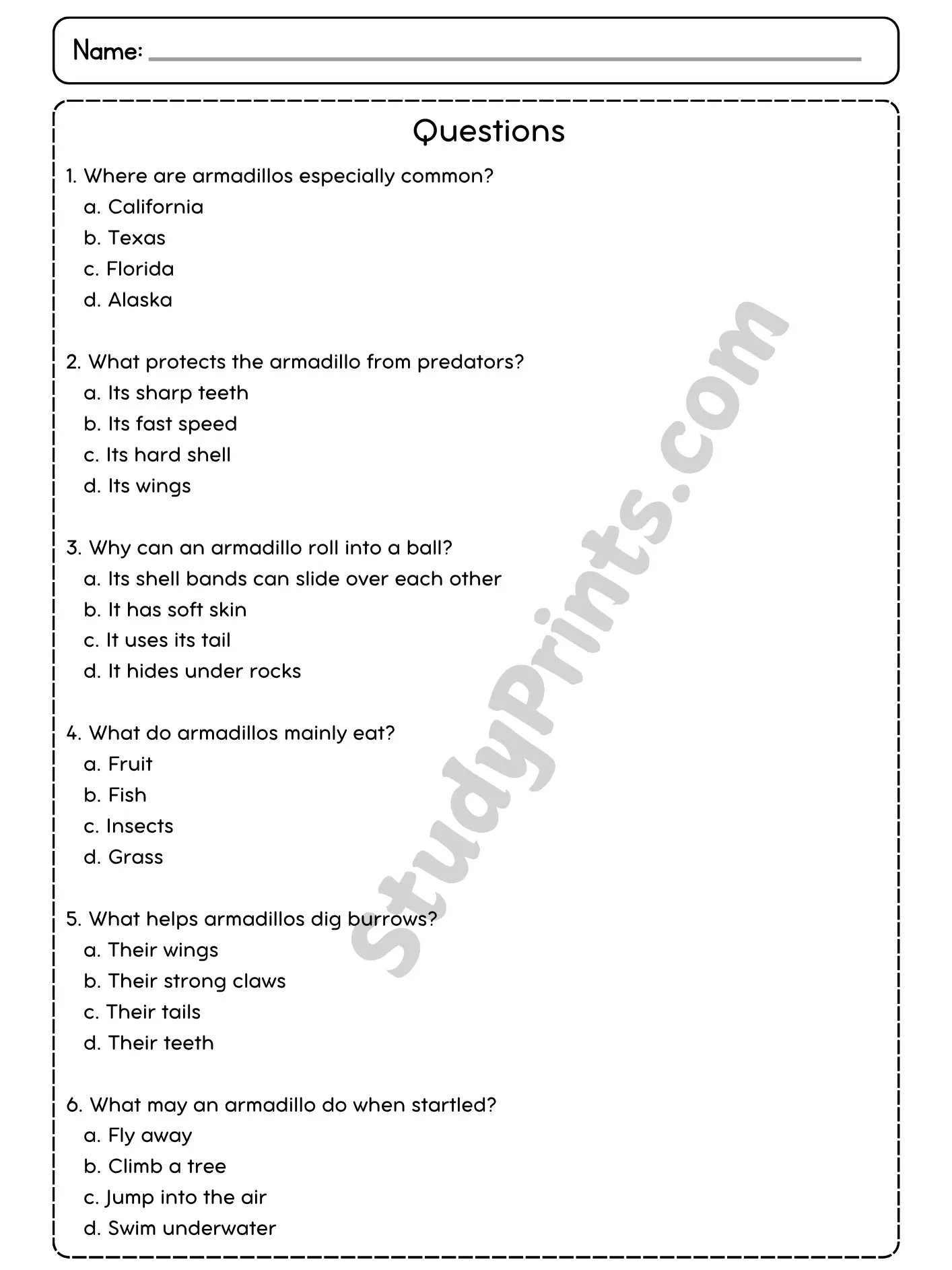 The Armadillo Reading Comprehension Passage and Questions | Printable PDF product image (3)