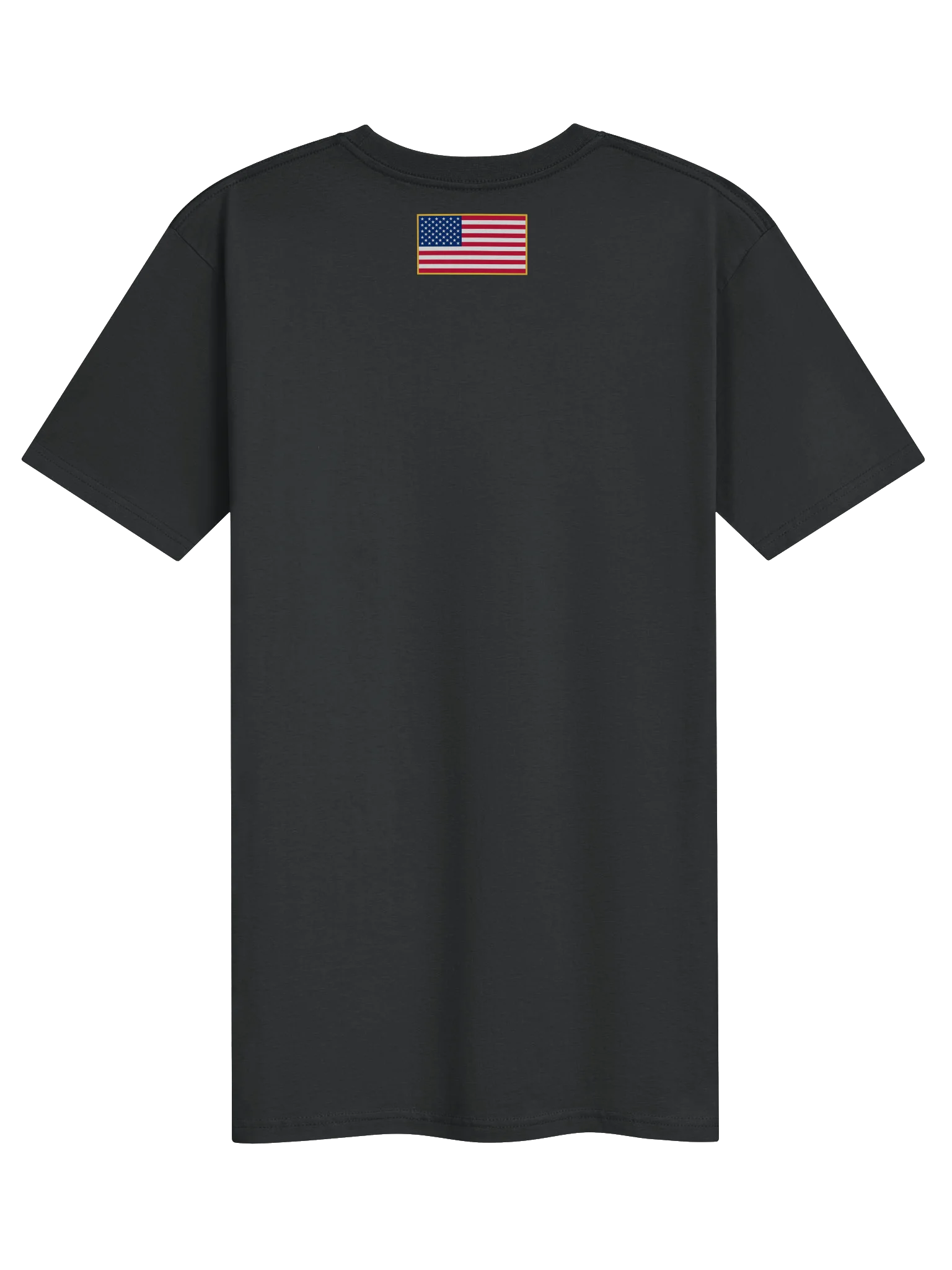 USA250 Winged Logo Tee product image (2)