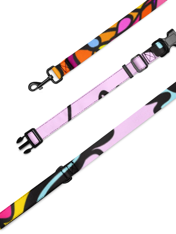 Vibrant Stripes Pet Collar & Leash Set - Wave at Sunset product image (5)